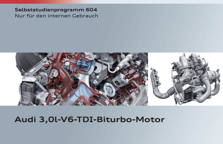 SSP 604 3.0l V6 TDI Biturbo Motor SSP 604 3.0l V6 TDI Biturbo Motor